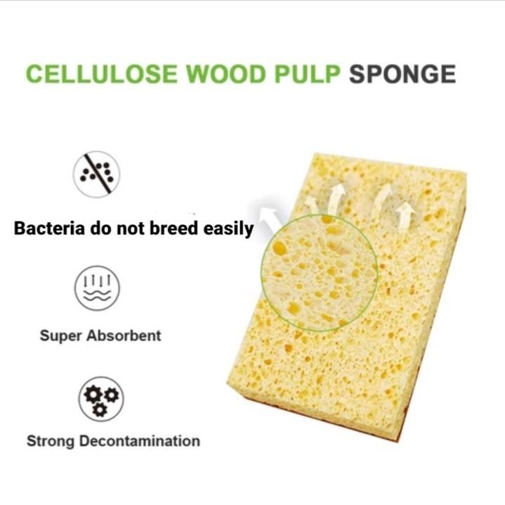 Non-Abrasive Eco-friendly Sponge made of Natural FiberImage2