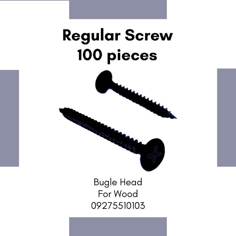 Regular Drywall Screw (100 pieces)