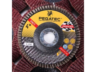 Pegatec Flap disc 4 inches Sanding Disc for Stainless SteelImage1