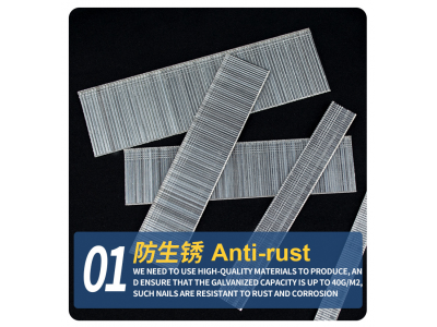 Pneumatic code nailsImage7